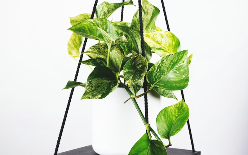 深度分析文章配图 - 足球教练战术板讲解